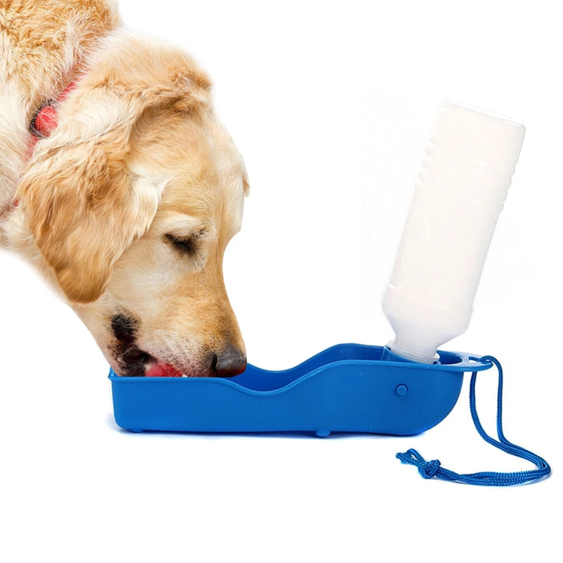 Dog portable kettle