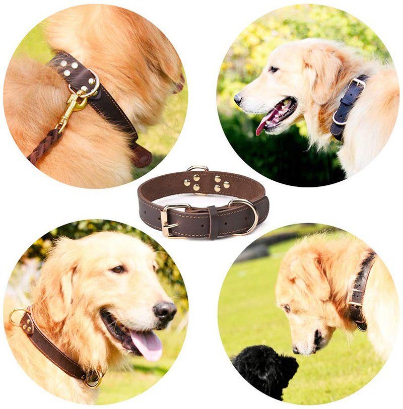 Cowhide dog collar