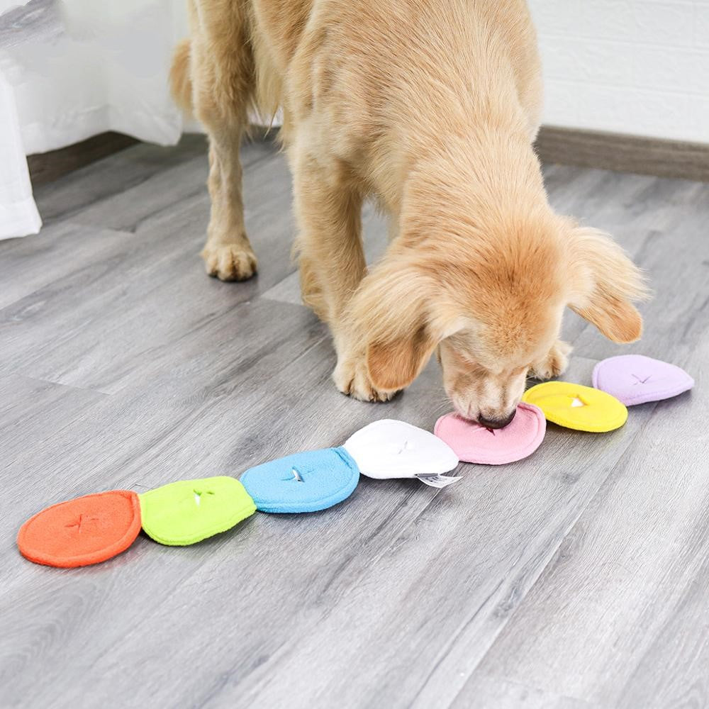 Macaron sniffing dog toys