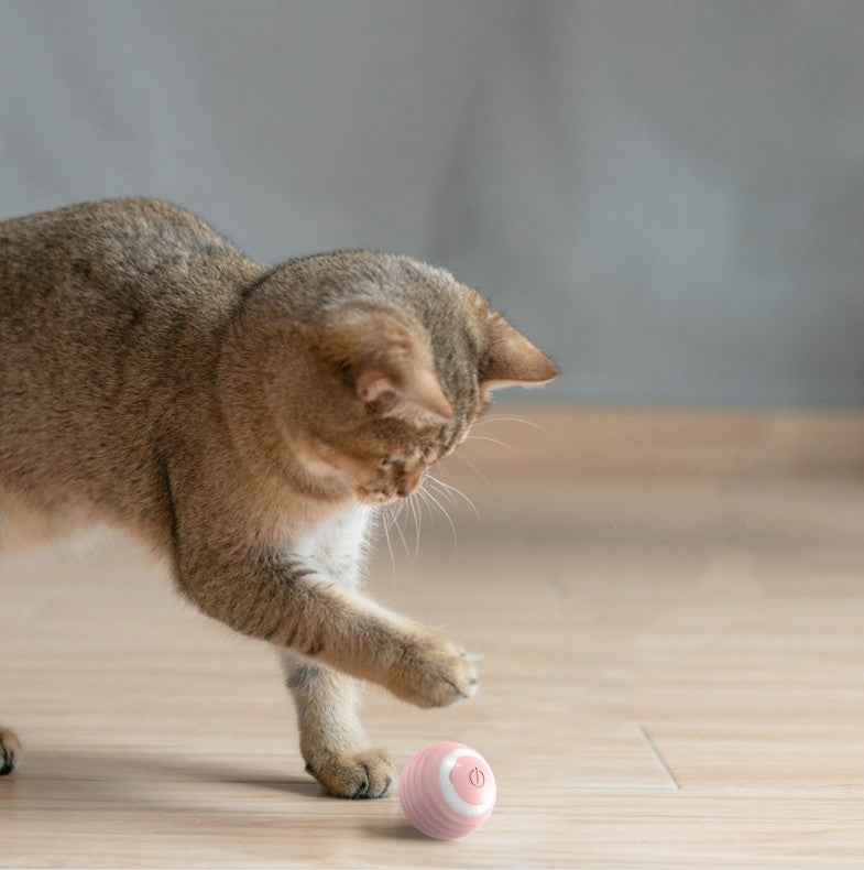 Pet Toy Automatic Cat Teasing Ball